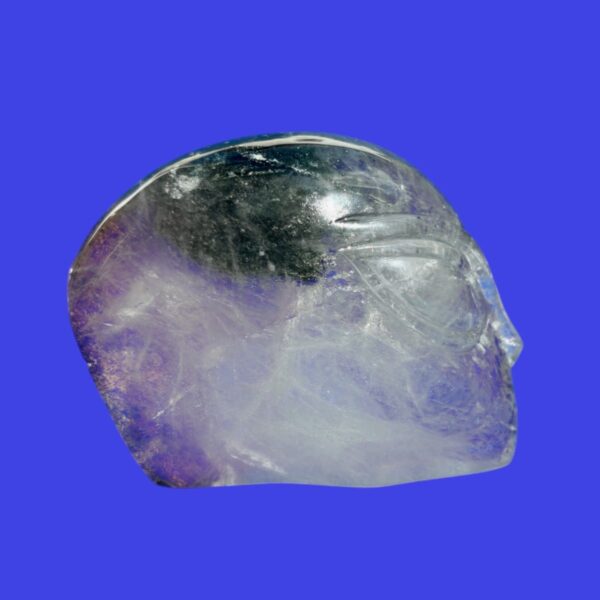 Alien Garden Quartz Crystal Skull – Chlorite Inclusions