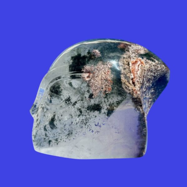 Alien Garden Quartz Crystal Skull – Chlorite Inclusions
