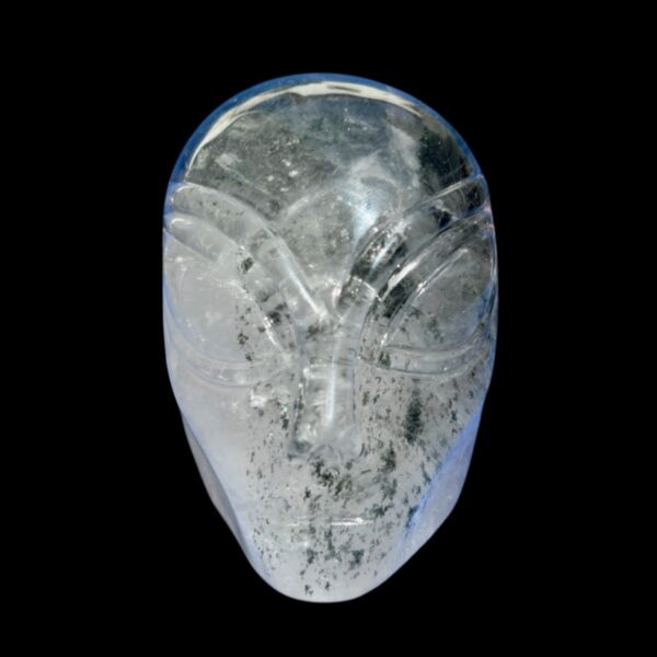 Alien Garden Quartz Crystal Skull – Chlorite Inclusions