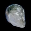 Alien Garden Quartz Crystal Skull – Chlorite Inclusions