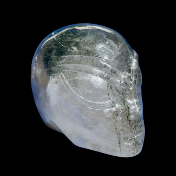 Alien Garden Quartz Crystal Skull – Chlorite Inclusions