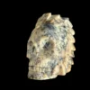 Rare Dendritic Agate Crystal Skull | Hand-Carved Shaman Style
