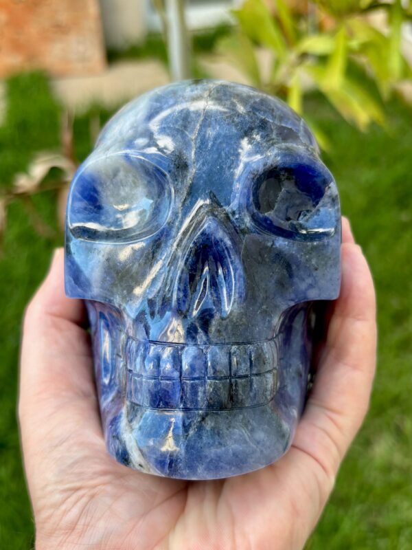 IMG_0642-scaled-2.jpeg Large Sodalite Skull - Electric Blue Sodalite
