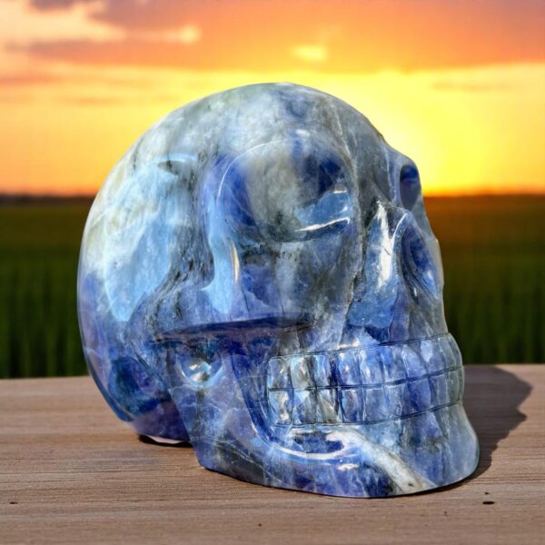 IMG_0643-Photoroom-1.jpg Large Sodalite Skull - Electric Blue Sodalite