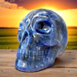 Large Sodalite Skull - Electric Blue Sodalite