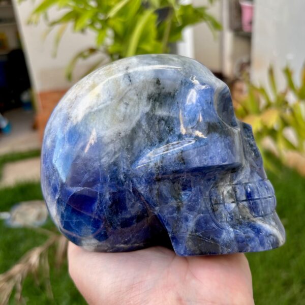 IMG_0645-1.jpeg Large Sodalite Skull - Electric Blue Sodalite