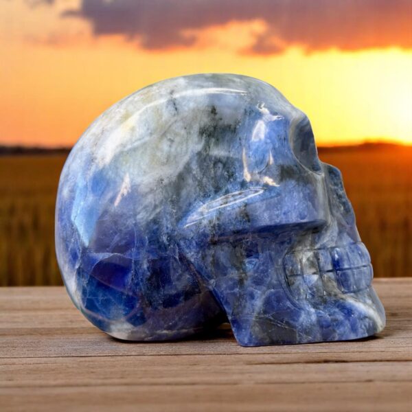 IMG_0645-Photoroom-1.jpg Large Sodalite Skull - Electric Blue Sodalite