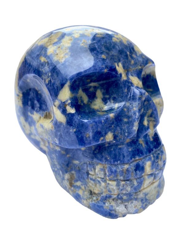 Sunset sodalite skull
