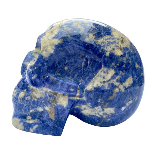 Sunset sodalite skull