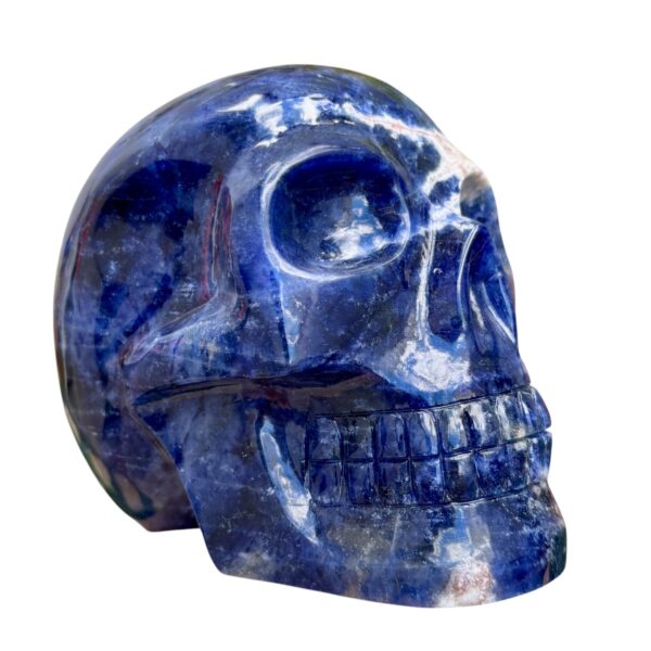 Large sodalite skull by Walmere