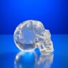 Lemurian Quartz Skull