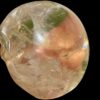 IMG_3463.jpg Large Citrine Crystal Skull with Rainbows