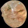 IMG_3464.jpg Large Citrine Crystal Skull with Rainbows