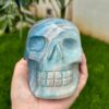 IMG_4133.jpeg Large Trolleite Skull - 2 kg