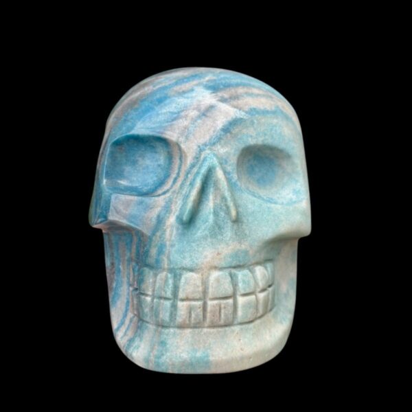 IMG_4133-Photoroom.jpg Large Trolleite Skull - 2 kg