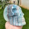 IMG_4134.jpeg Large Trolleite Skull - 2 kg