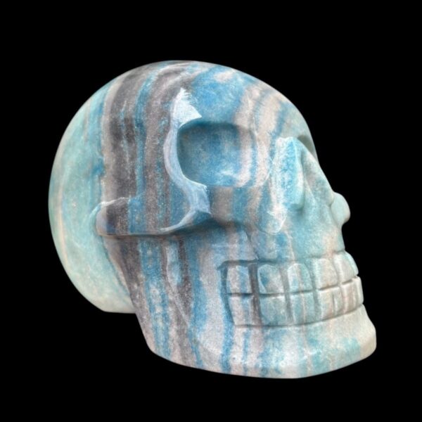 IMG_4134-Photoroom.jpg Large Trolleite Skull - 2 kg