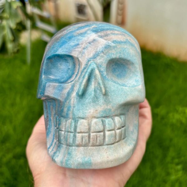 IMG_4135.jpeg Large Trolleite Skull - 2 kg