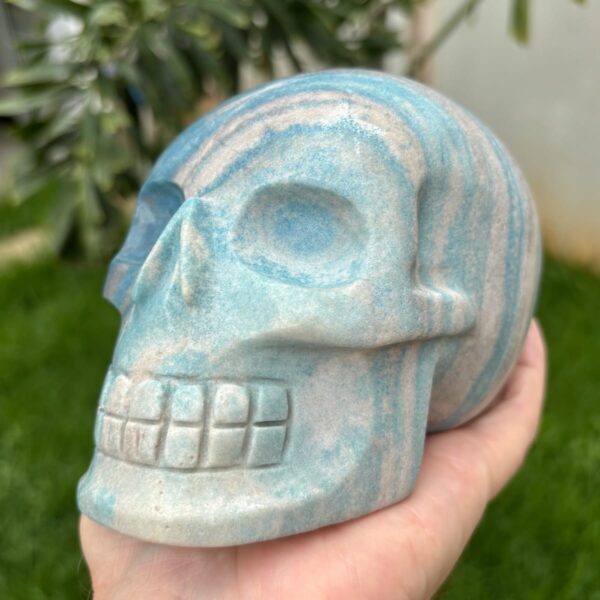 IMG_4136.jpeg Large Trolleite Skull - 2 kg