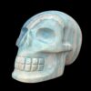 IMG_4136-Photoroom.jpg Large Trolleite Skull - 2 kg