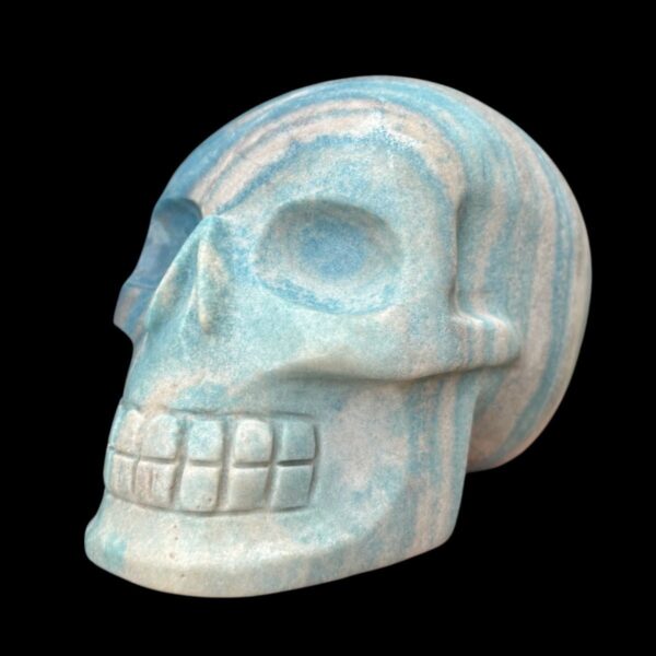 IMG_4136-Photoroom.jpg Large Trolleite Skull - 2 kg