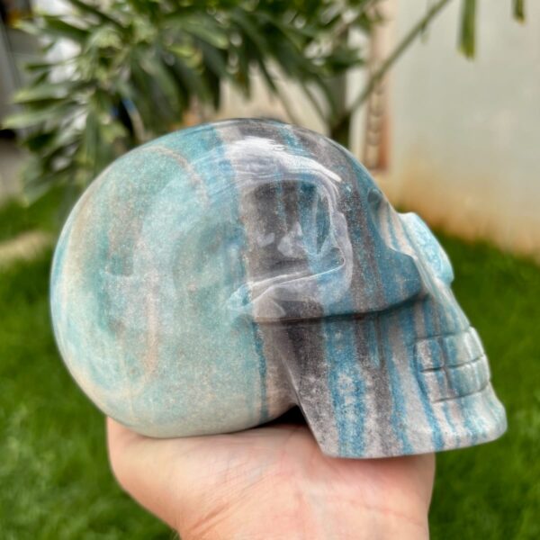 IMG_4137.jpeg Large Trolleite Skull - 2 kg