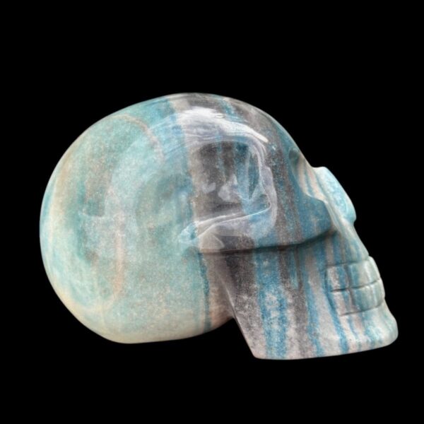 IMG_4137-Photoroom.jpg Large Trolleite Skull - 2 kg