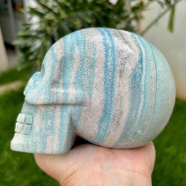 IMG_4138.jpeg Large Trolleite Skull - 2 kg