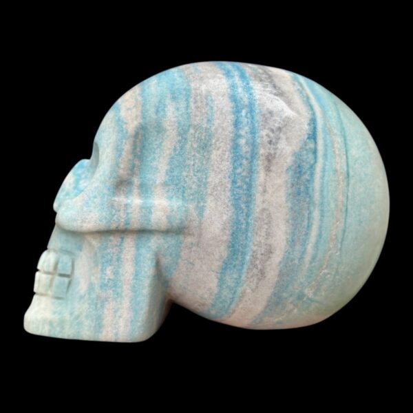 IMG_4138-Photoroom.jpg Large Trolleite Skull - 2 kg