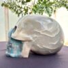 Life-Size Trolleite Crystal Skull