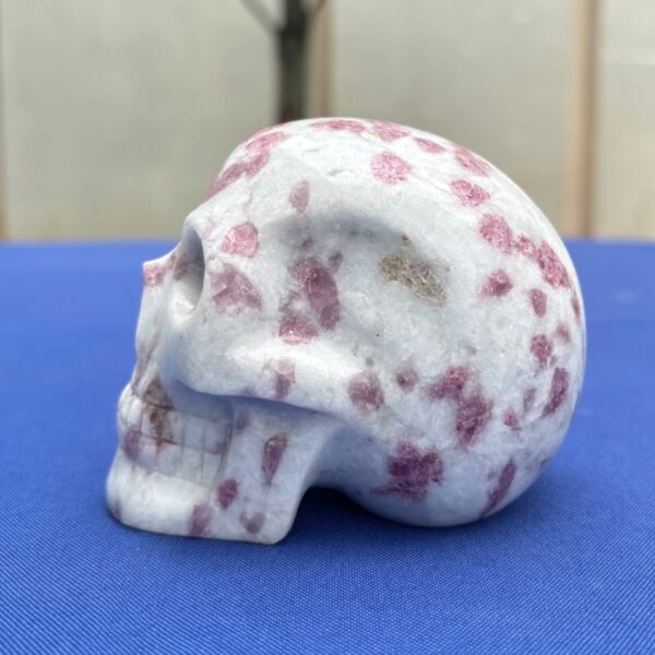 Pink Tourmaline in Albite Crystal Skull – 0.73 kg