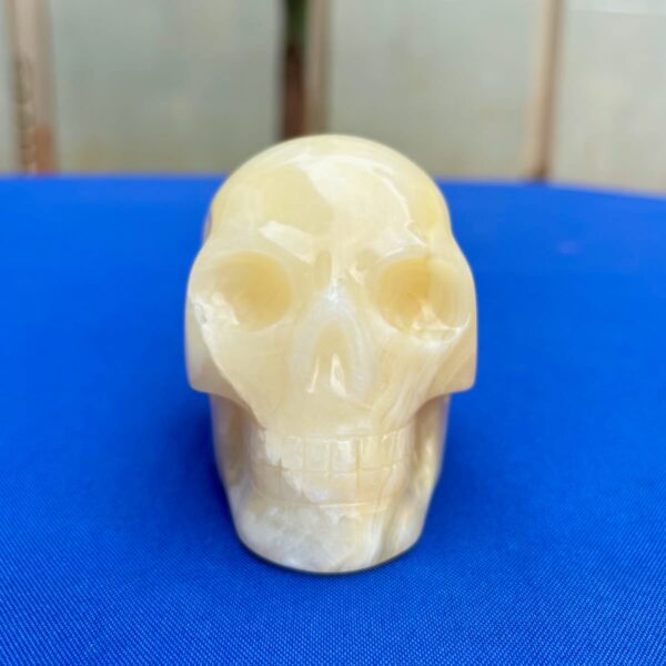 IMG_4717.jpeg White & Yellow Onyx Crystal Skull by Walmere – 0.79 kg