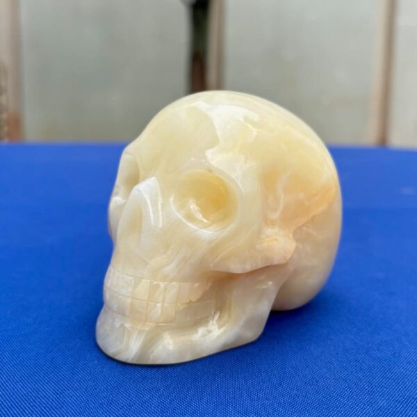 IMG_4719.jpeg White & Yellow Onyx Crystal Skull by Walmere – 0.79 kg