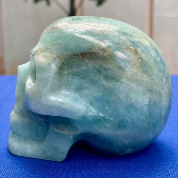 IMG_4736.jpeg Large Aquamarine Crystal Skull โ 2.17 kg