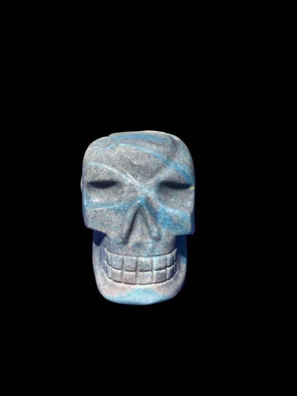 IMG_4745-Photoroom.jpg Large Trolleite Traveller Skull โ 15.5 cm