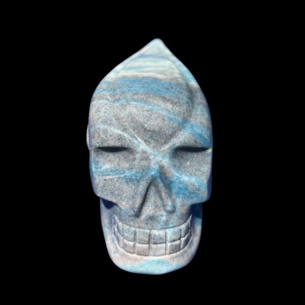 IMG_4746-Photoroom.jpg Large Trolleite Traveller Skull โ 15.5 cm