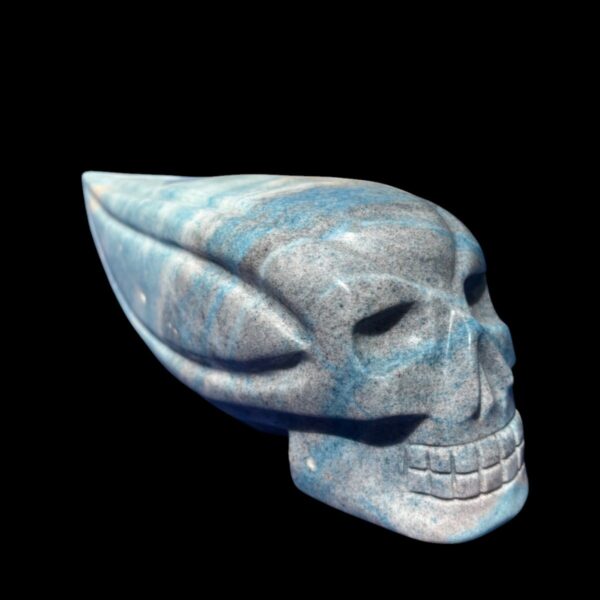 IMG_4747-Photoroom.jpg Large Trolleite Traveller Skull โ 15.5 cm