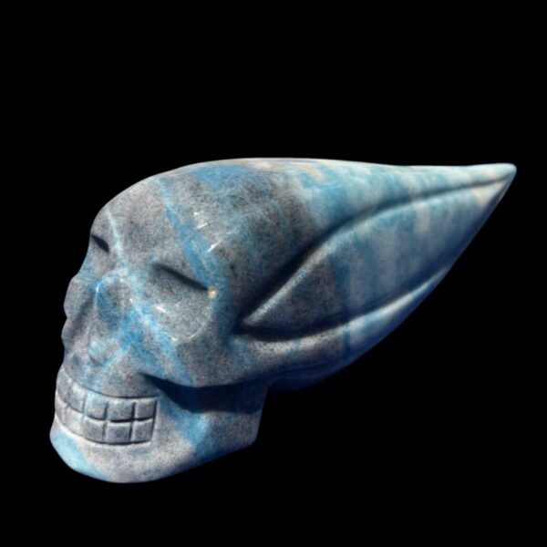 IMG_4748-Photoroom.jpg Large Trolleite Traveller Skull โ 15.5 cm