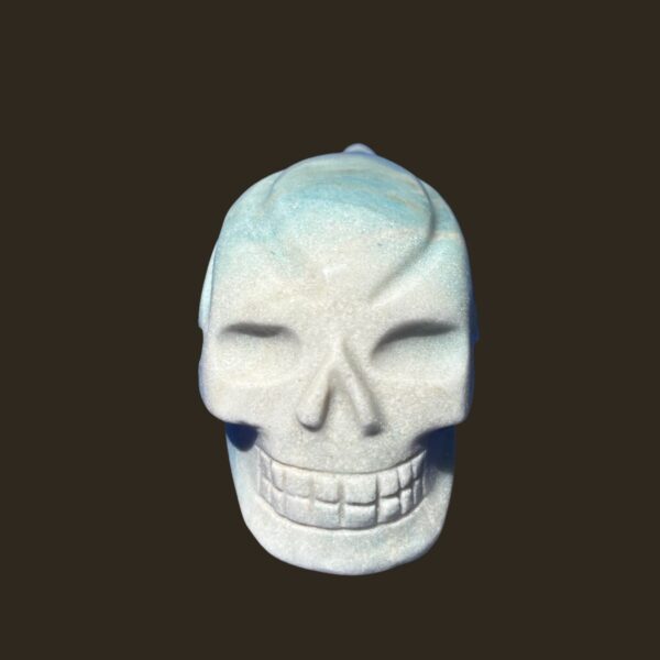 IMG_4751-Photoroom.jpg Trolleite Traveller Skull โ 11 cm