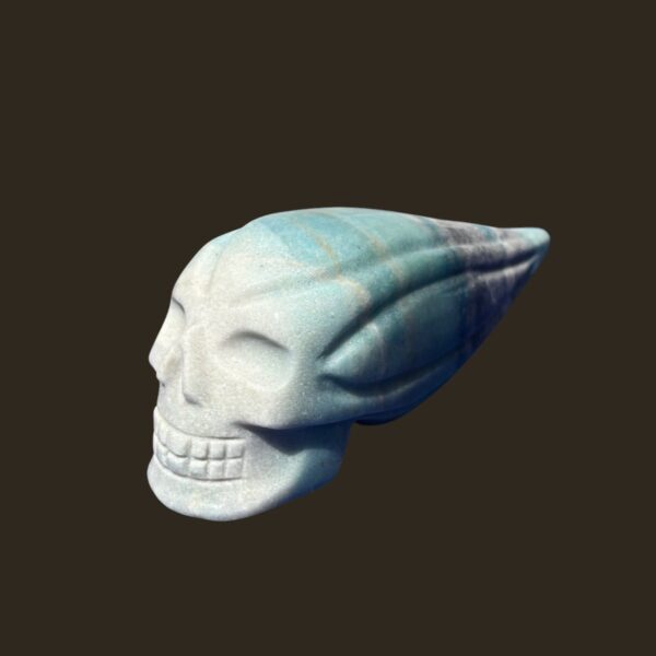 IMG_4753-Photoroom.jpg Trolleite Traveller Skull โ 11 cm