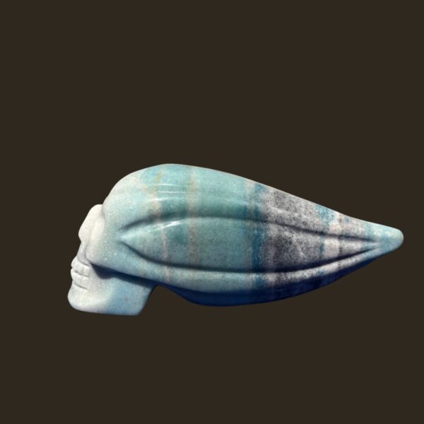 IMG_4755-Photoroom.jpg Trolleite Traveller Skull โ 11 cm
