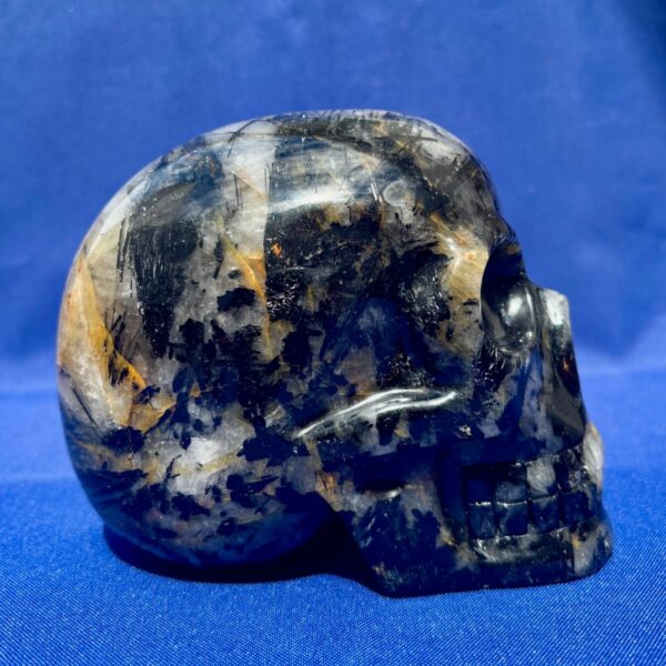 IMG_5001.jpeg Large Tourmaline Quartz Skull with Hematite
