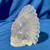 IMG_5291.webp Clear Quartz Feathered Shaman Skull with Enhydro