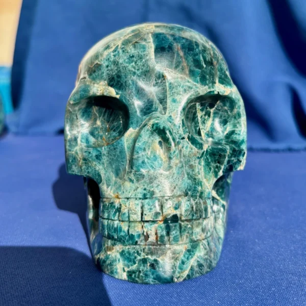 IMG_5615.webp Large Apatite Skull - 1.73 kg