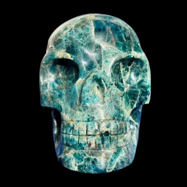 IMG_5615-Photoroom.webp Large Apatite Skull - 1.73 kg
