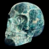 IMG_5618-Photoroom.webp Large Apatite Skull - 1.73 kg