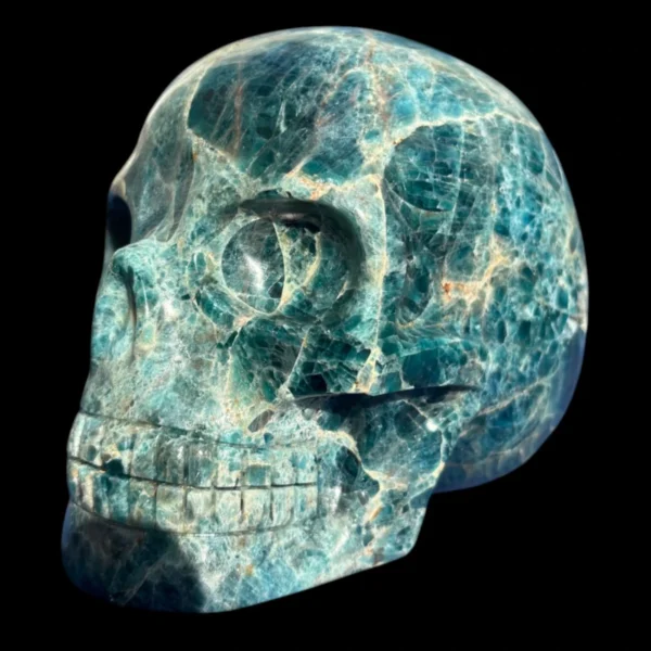 IMG_5618-Photoroom.webp Large Apatite Skull - 1.73 kg