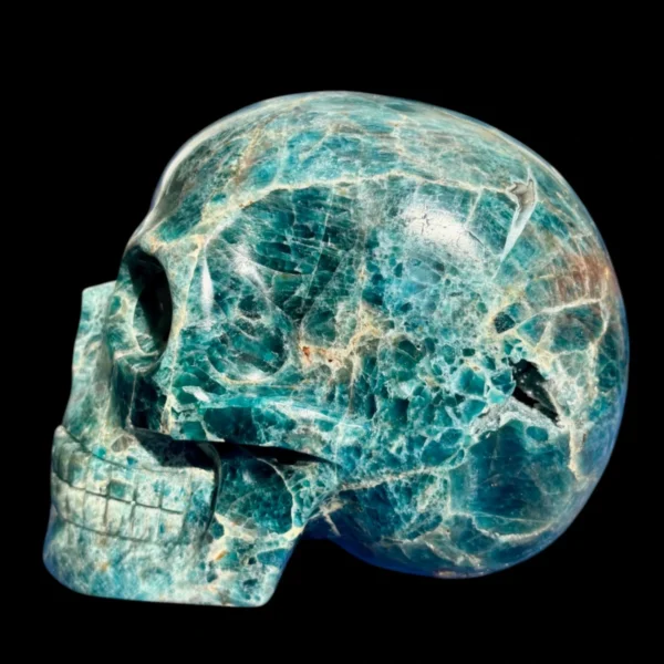 IMG_5620-Photoroom.webp Large Apatite Skull - 1.73 kg