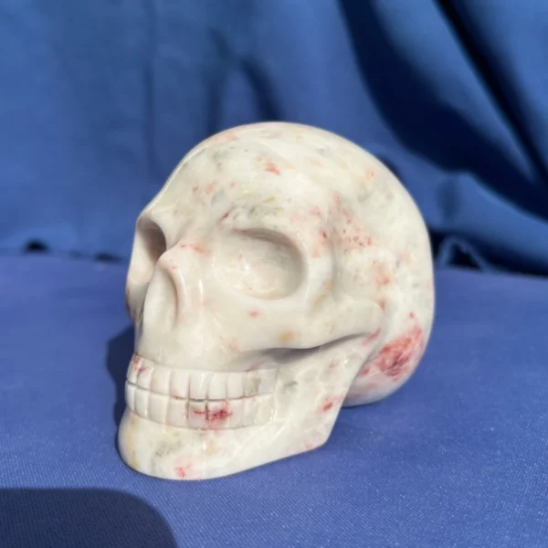 White Dolomite Skull by Walmere | 0.83 kg