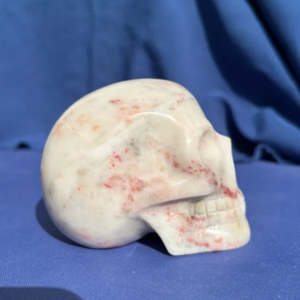 White Dolomite Skull by Walmere | 0.83 kg